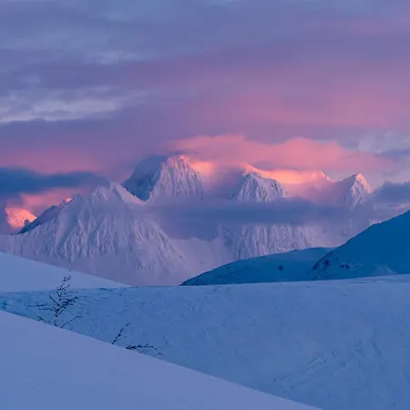 Balsfjord Fjord & Mountain View