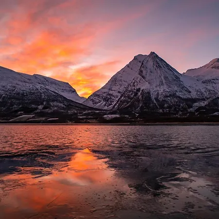 Feriehus Balsfjord Fjord & Mountain View