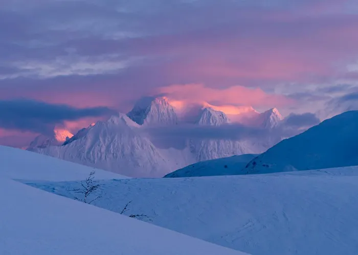 Balsfjord Fjord & Mountain View